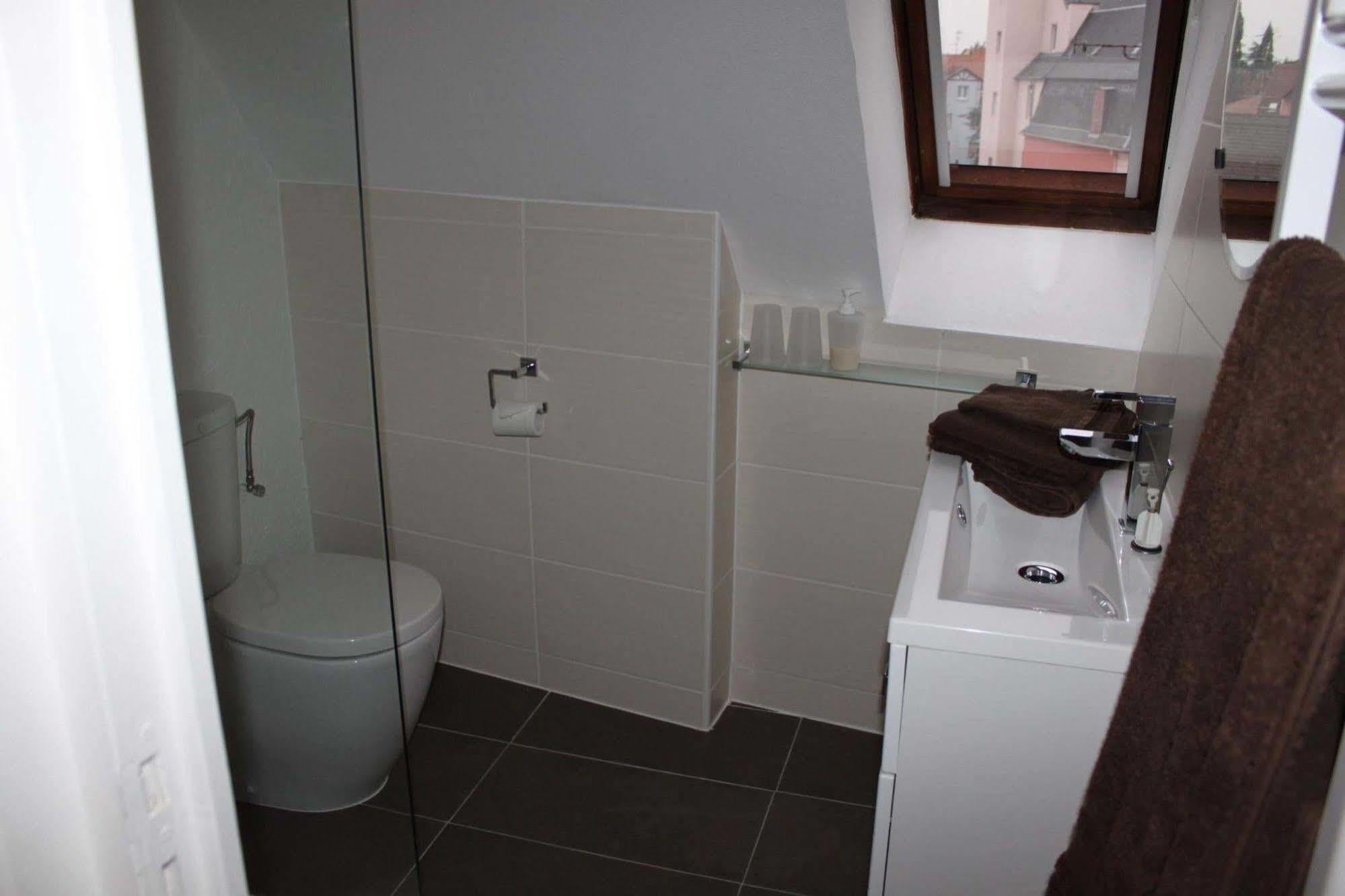 Les Appartements De Home Petite Venise Κολμάρ Εξωτερικό φωτογραφία
